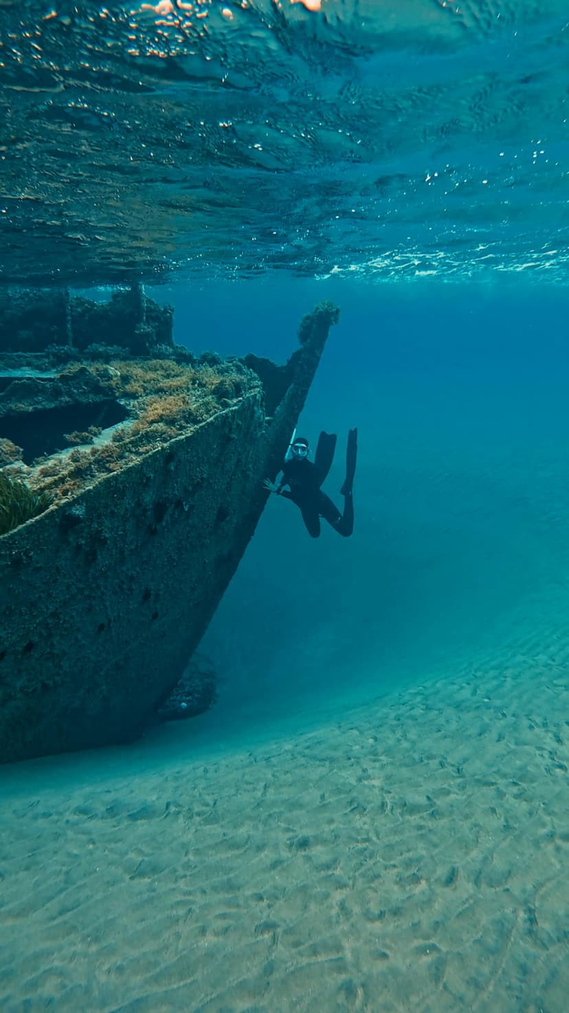 Diving