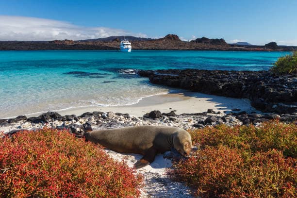 Galápagos Expedition