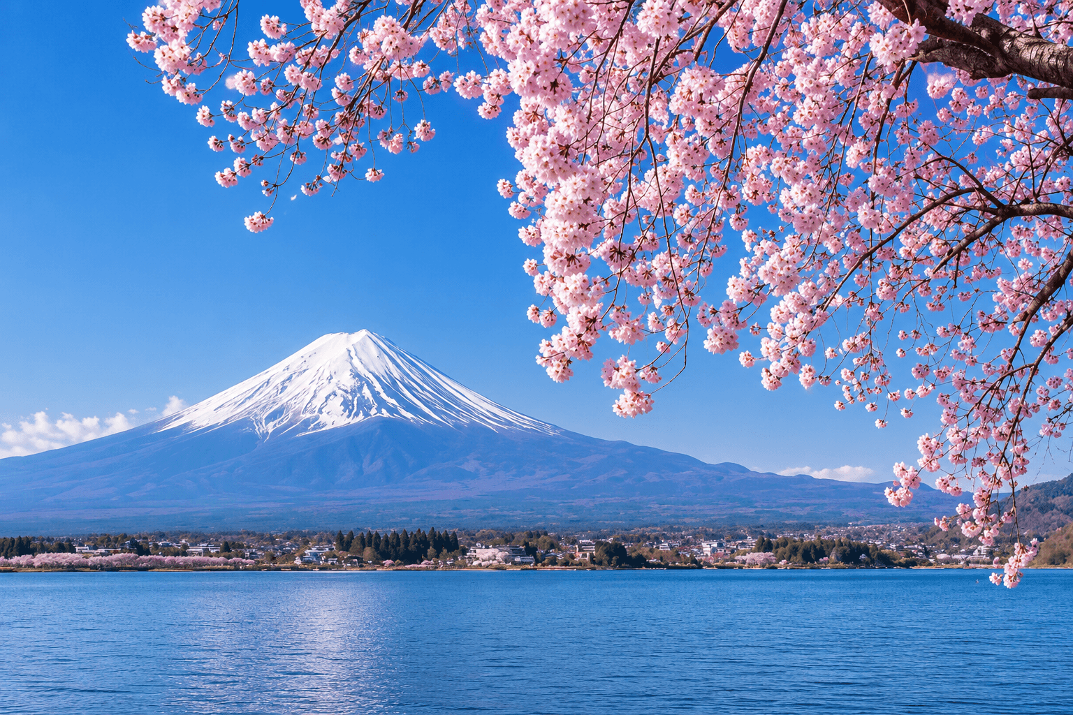Best Time to Visit Japan — Cherry Blossom, Autumn & Beyond