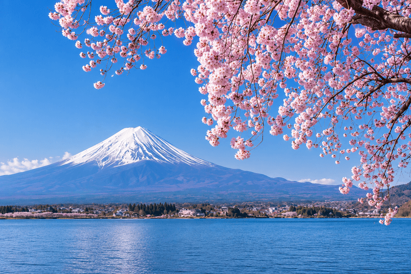 Best Time to Visit Japan — Cherry Blossom, Autumn & Beyond