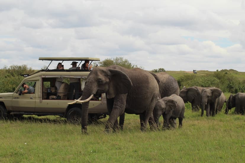 Great herds of elephants beneath the snows of Kilimanjaro across the border — the most iconic backdrop in African wildlife photography.