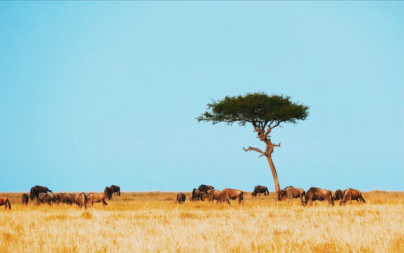 Kenya