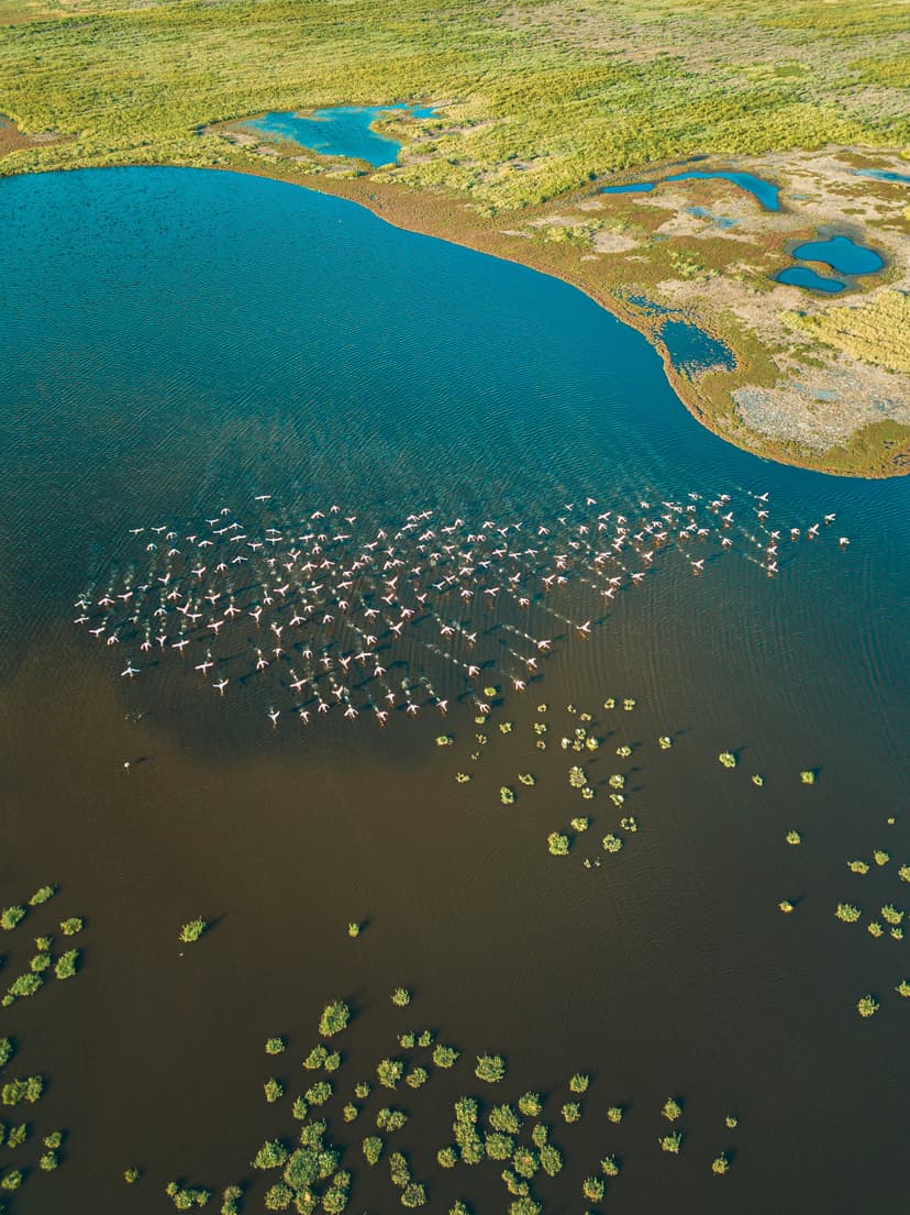 Okavango Delta