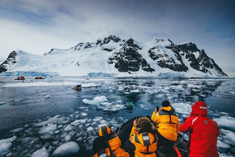 Polar & Expedition