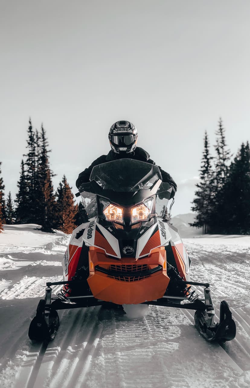Snowmobile Safaris