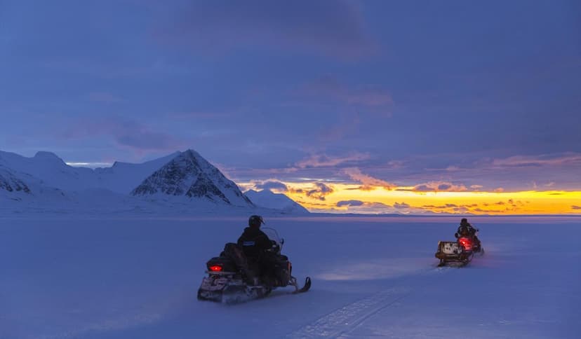 Snowmobile safaris