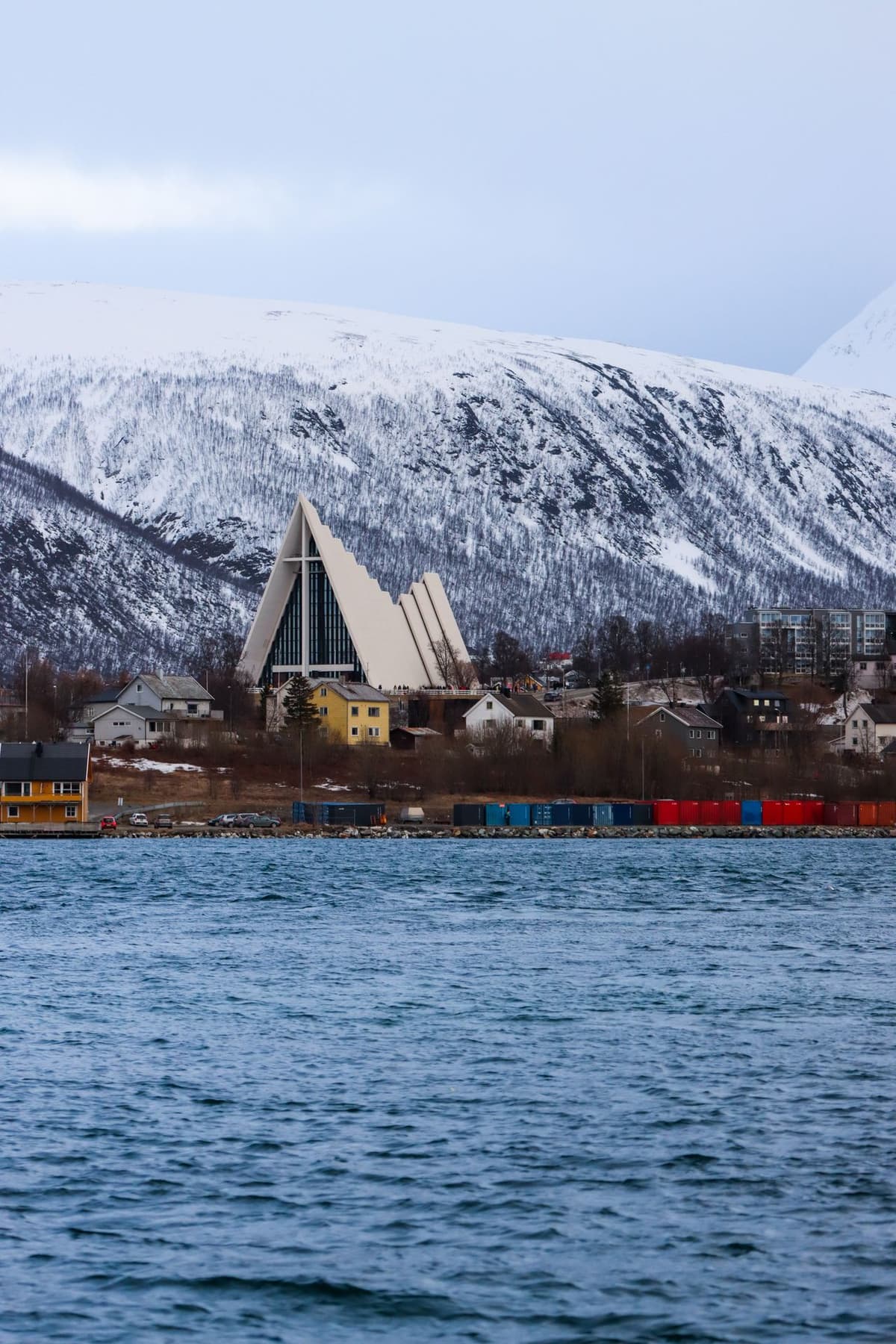 The Arctic