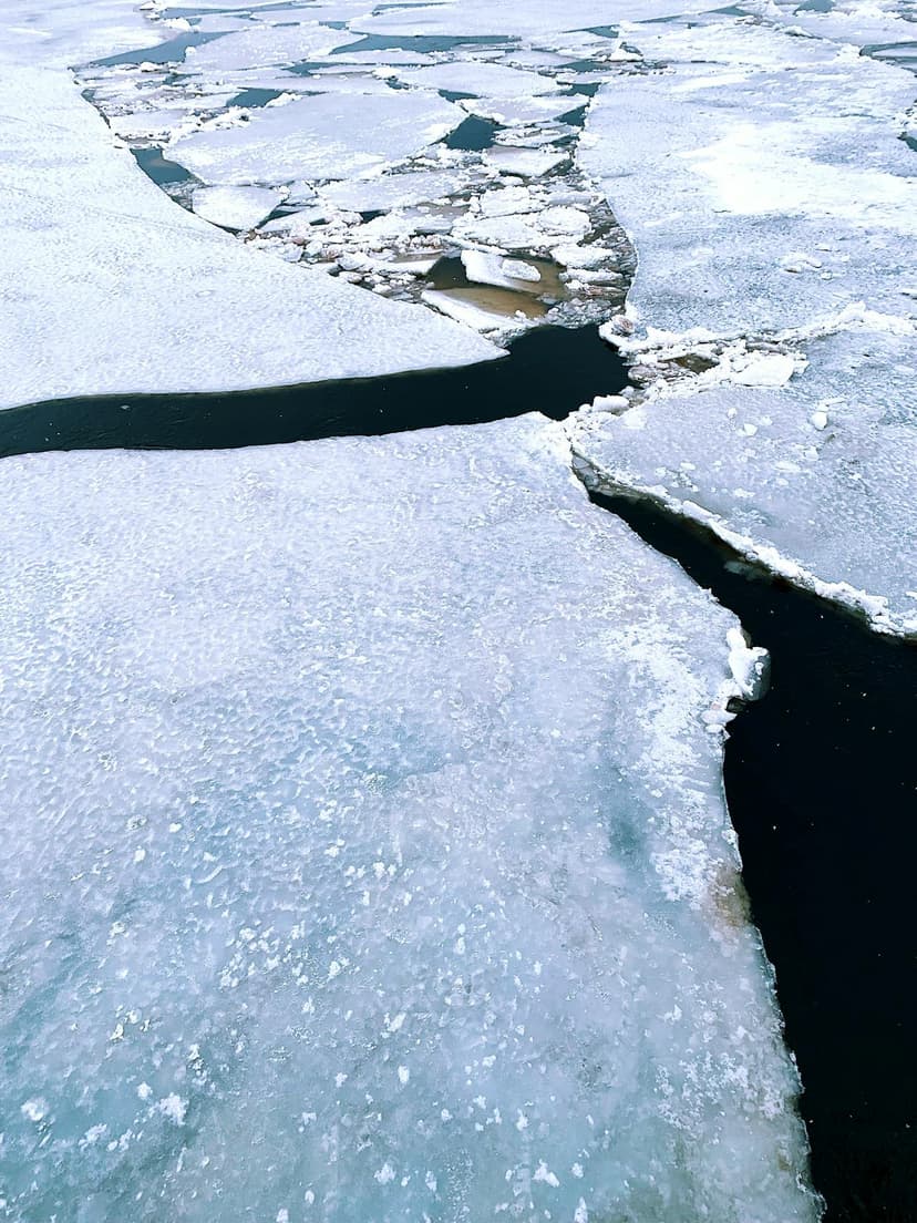 The Arctic