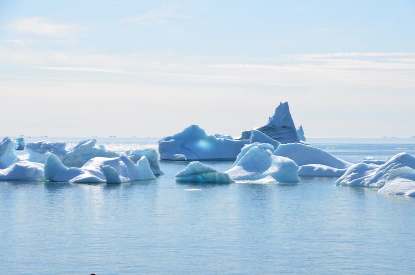 The Arctic