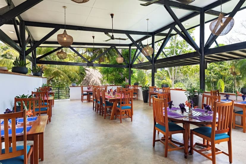The jungle bar