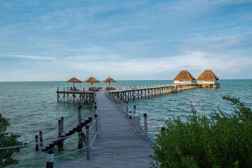 The beach restaurant