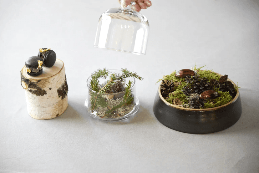 Lapland produce