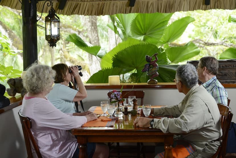 Organic Maya farm