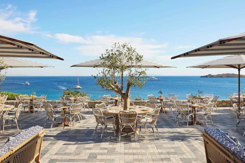 The Oasis Pool & Lounge
