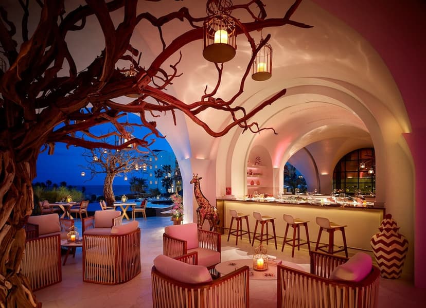 The bar