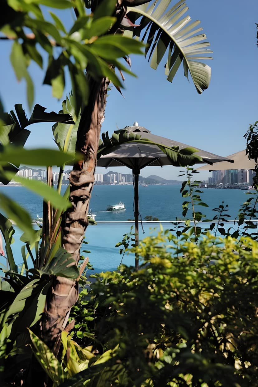 Harbourfront garden & pool: An urban-resort feel.