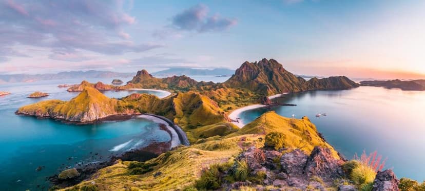 Komodo day trips: Dragons on Rinca and Komodo.