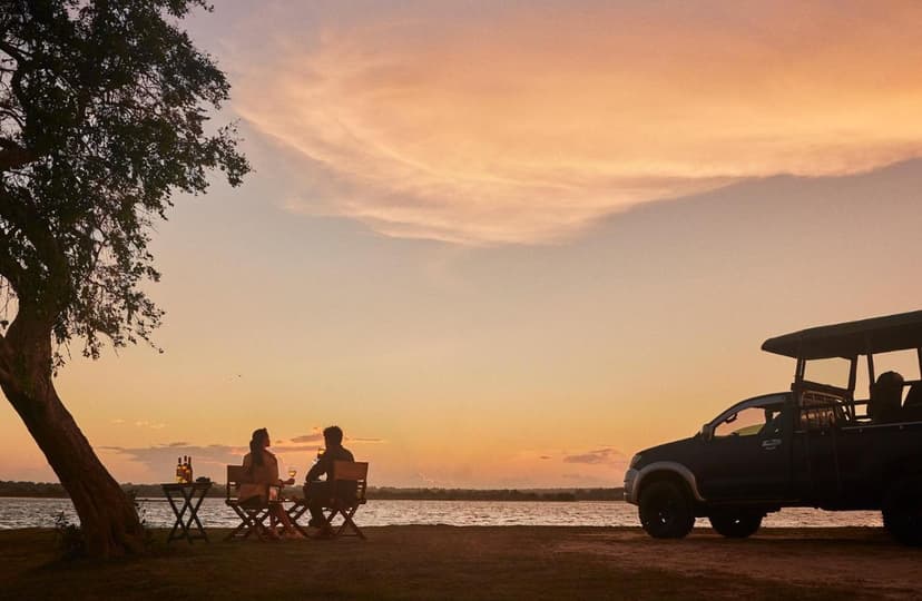 Daily game drives: Leopards, elephants, sloth bears and 215 birds — included.