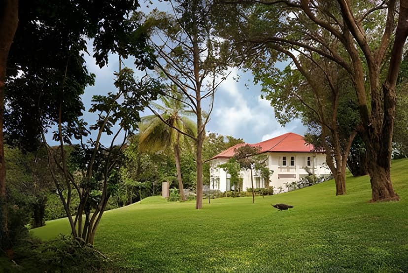 Colonial-garden estate: Roaming peacocks and sculpture.