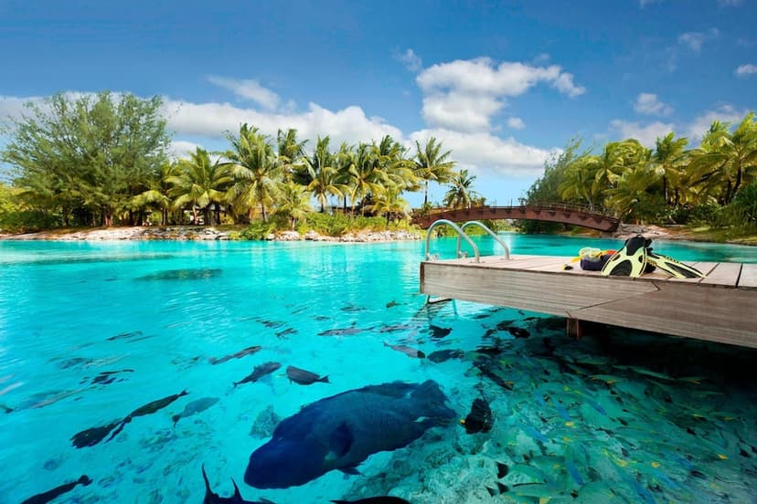 Experience 1: Snorkel the Lagoonarium