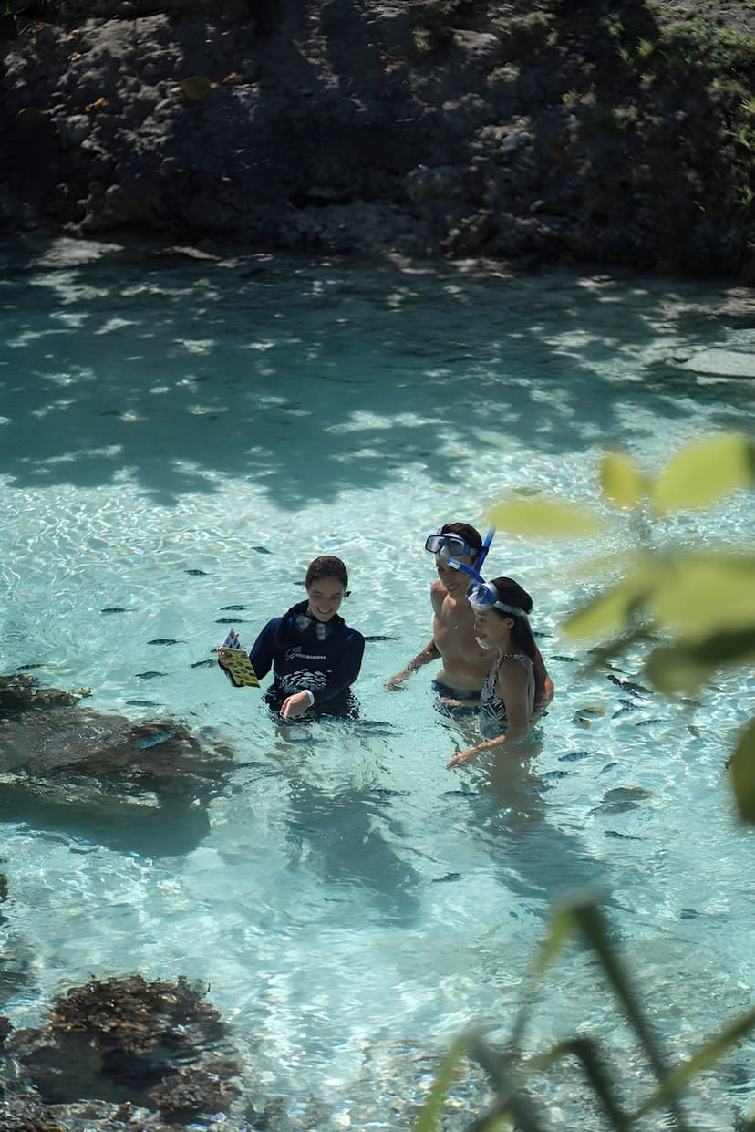 Experience 1: Snorkel the lagoon sanctuary