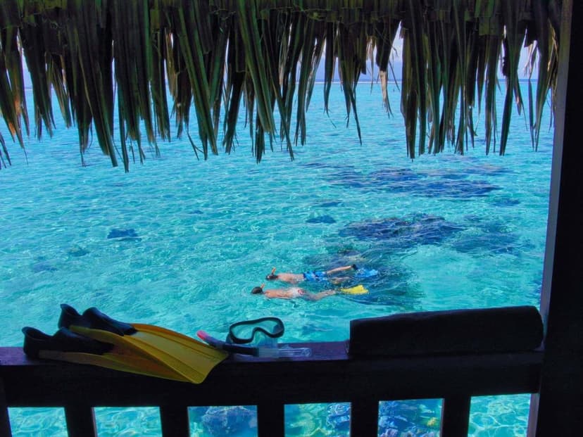 Experience 1: Snorkel the reserve