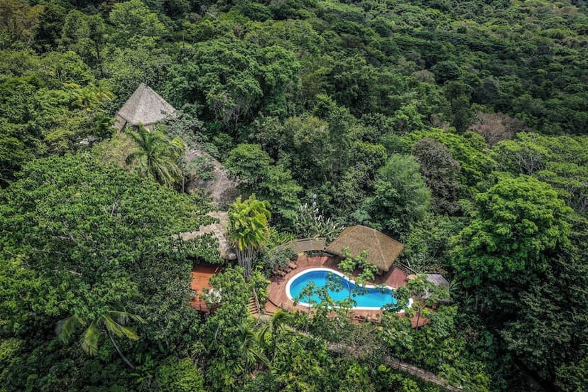 Guided rainforest tours