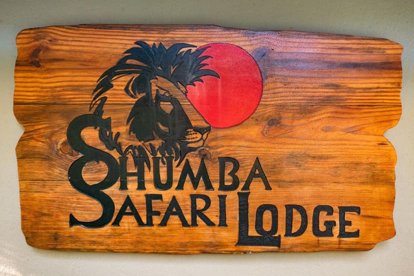 Busanga lion viewing