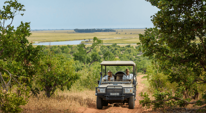 Early game drives