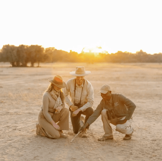 Walking safaris