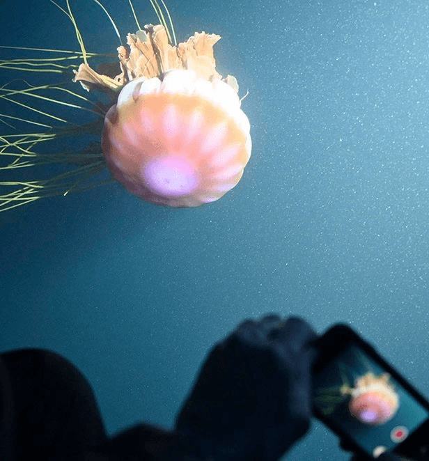 Experience: A nine-person submarine