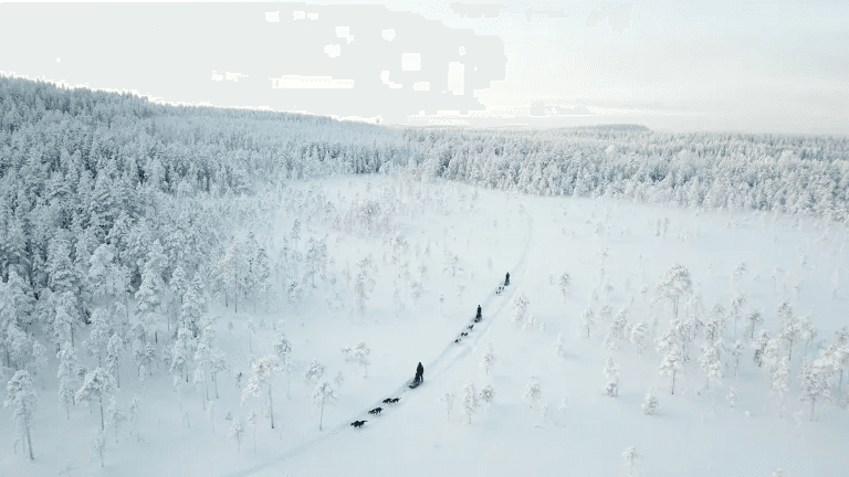 Experience: Northern lights
