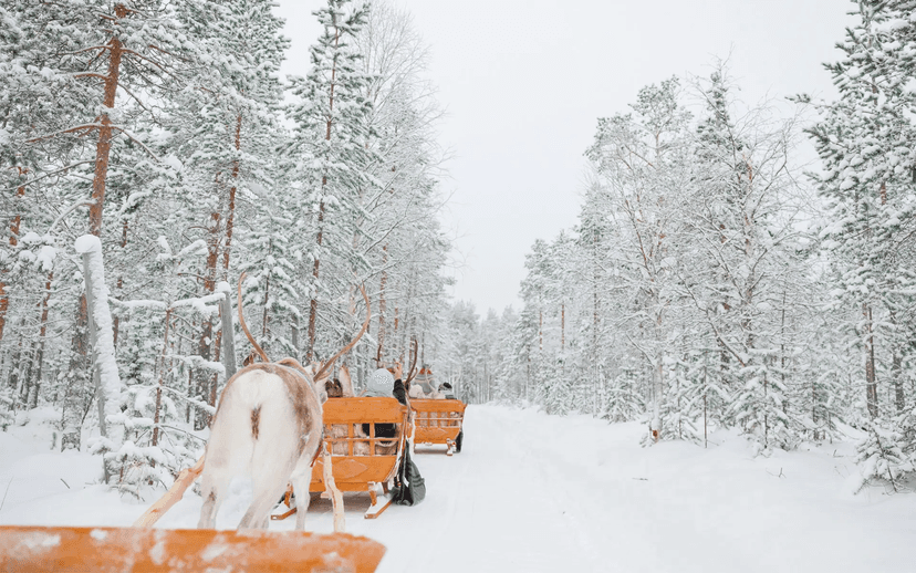 Experience: Santa Claus Village