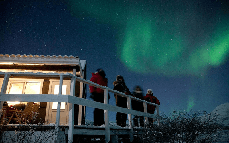 Experience: Whale watching