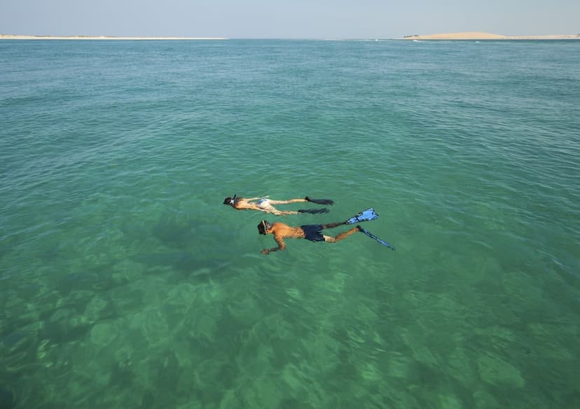 Diving & snorkelling