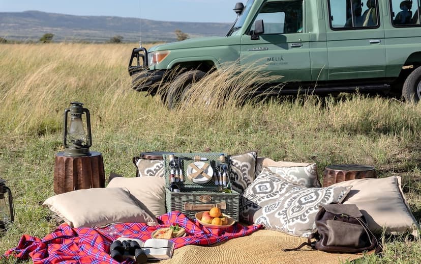 Bush picnic