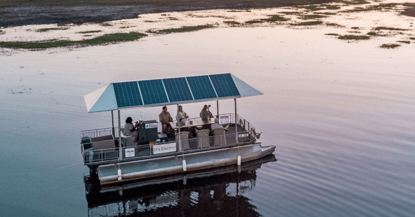 Chobe boat safaris