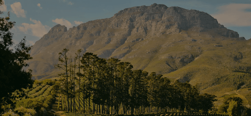 Table Mountain