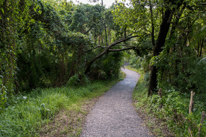 A private walkway