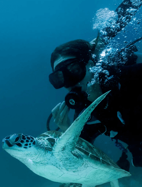 Reef diving & snorkelling: The house reef, where turtles nest.
