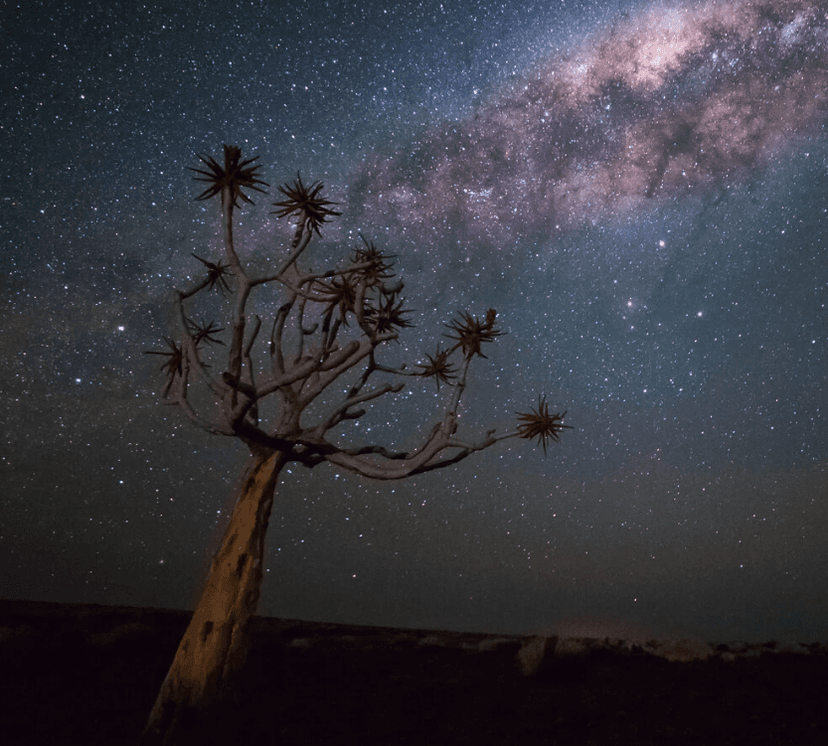 Stargazing