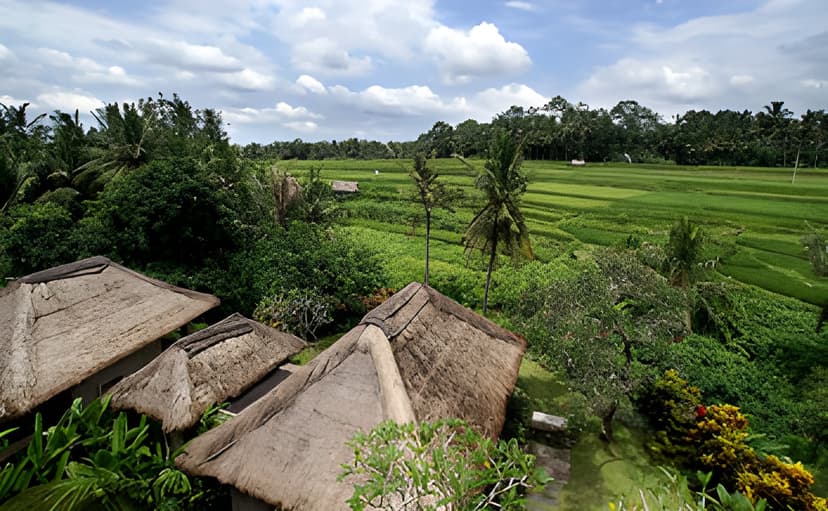 Rice-paddy walks: Meeting local farmers.