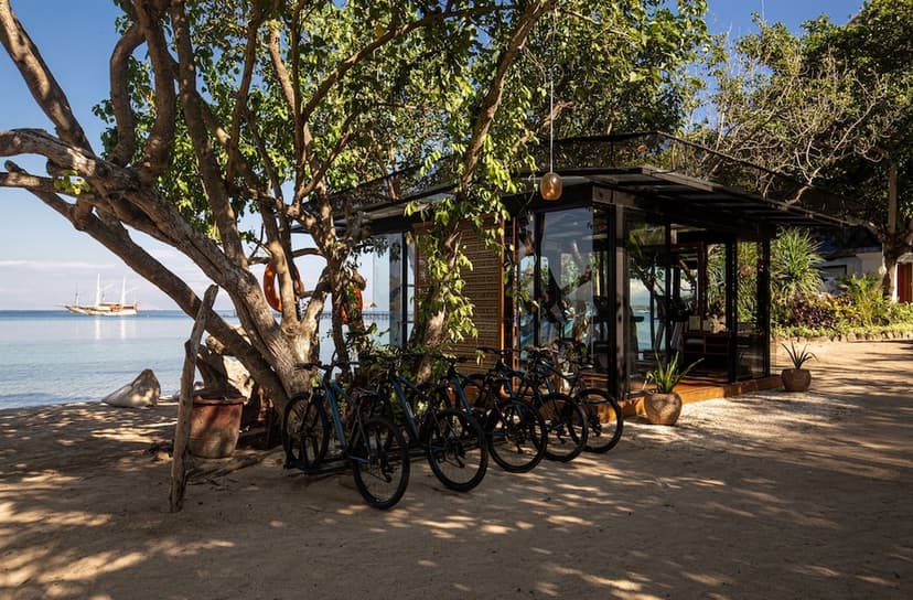 Phinisi excursions: Yacht trips to the park.