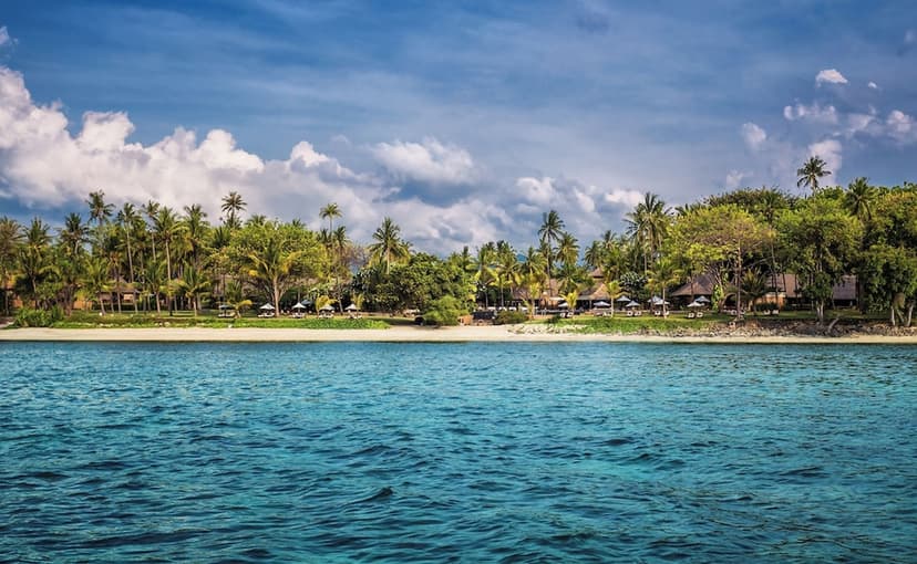 Home reef & jetty: And turtle-hatchling releases.