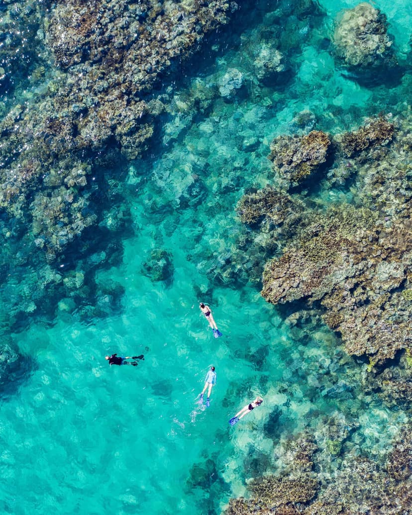 Dive and snorkel — the activity/scene in action. PADI diving and reef snorkelling on the doorstep.