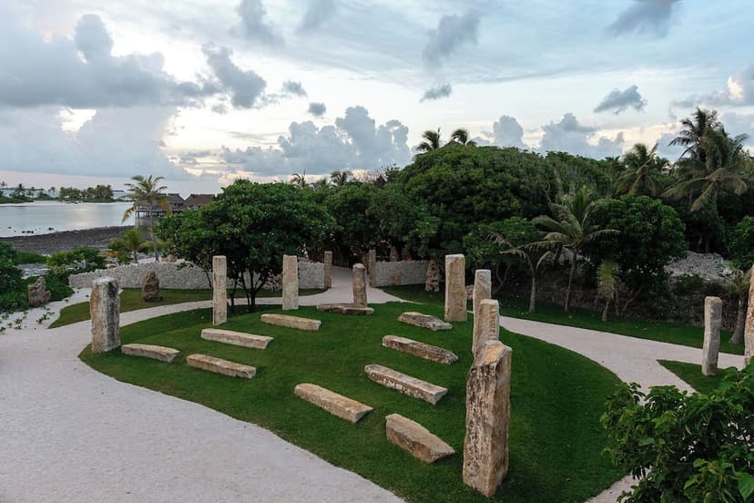 Experience 3: Bird Island