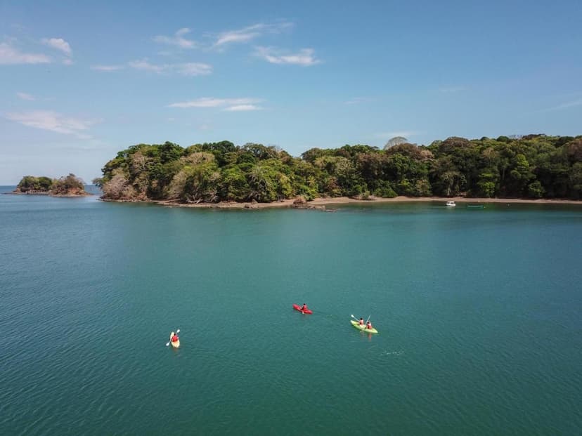 Kayak & SUP