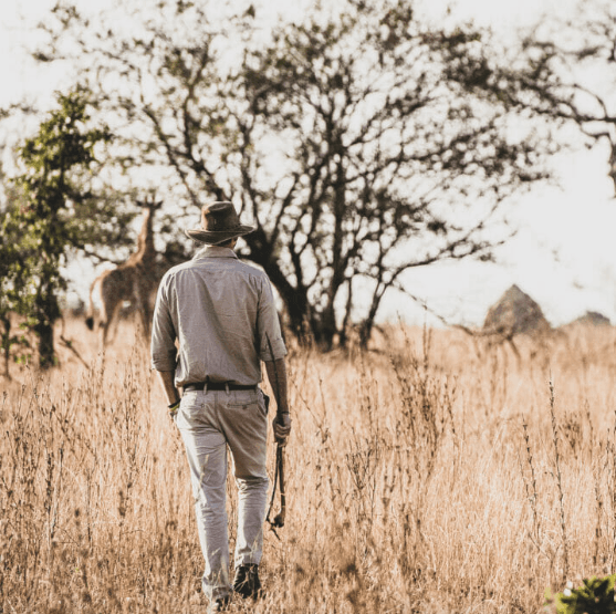 Bush walks