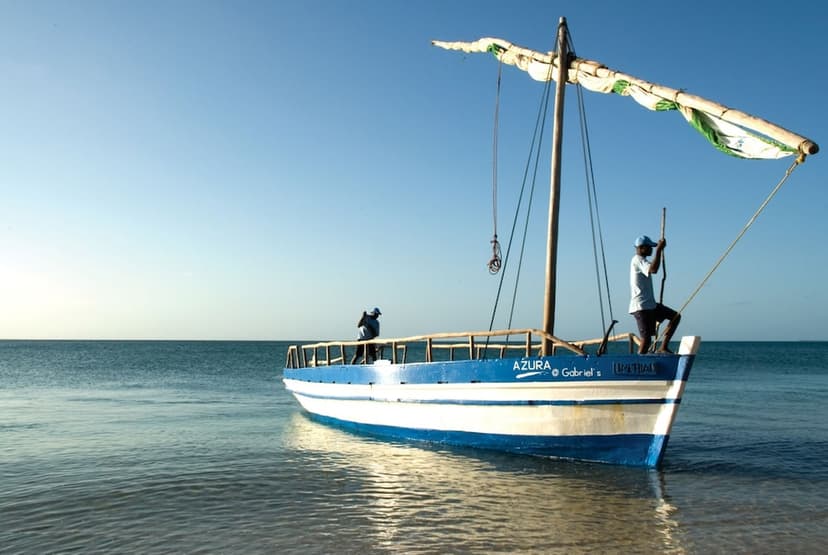 Dhow sailing