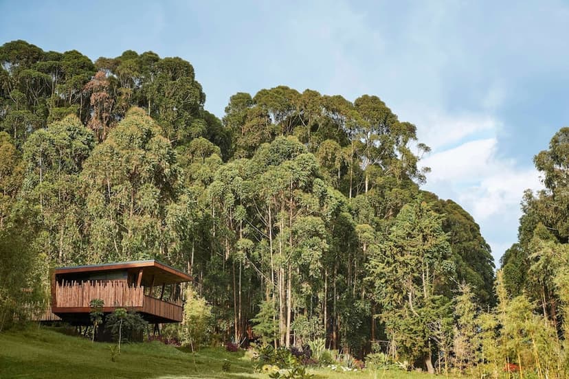The Dian Fossey campus